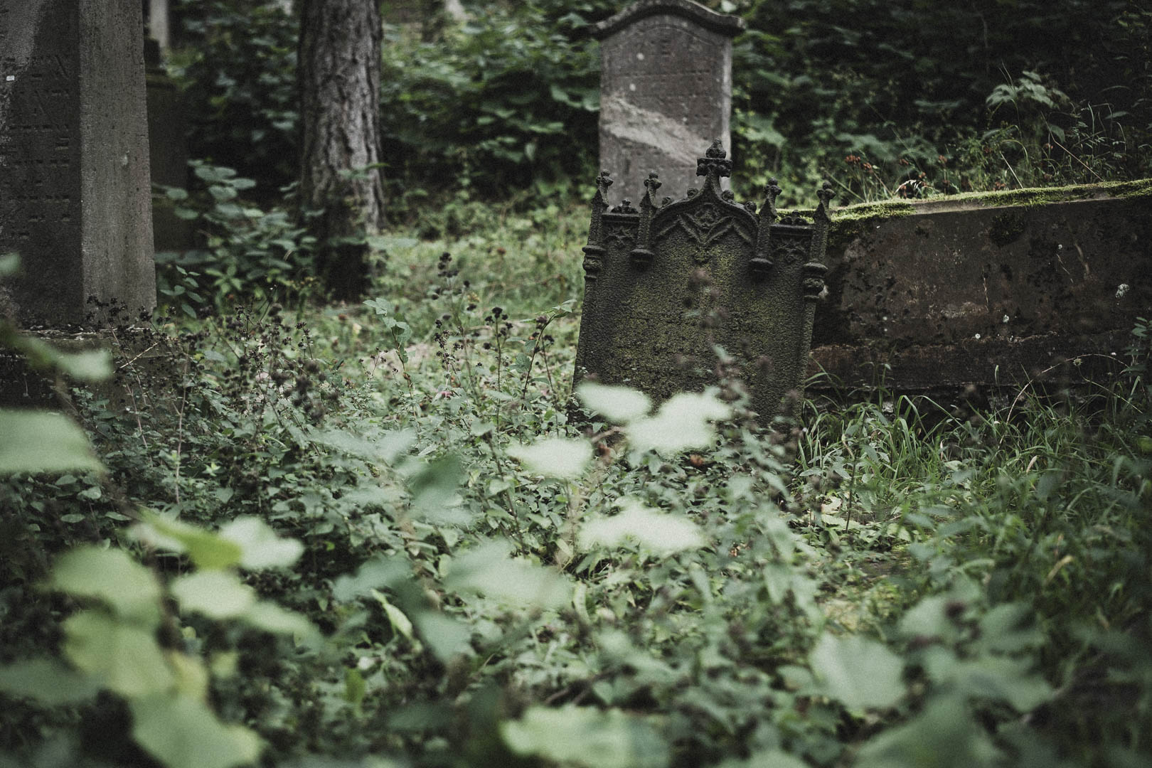 Bleicherode, Jüdischer Friedhof